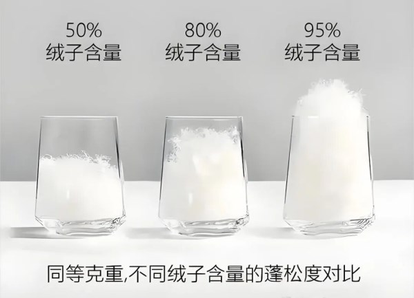 充绒量≠保暖力！羽绒服价差之谜：不只是羽绒，更是价值的选择