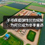 羊毛保暖弹性优势揭秘:为何它成为冬季首选素材(图3) 羊毛保暖弹性优势揭秘:为何它成为冬季首选素材(图3)