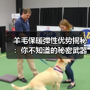 羊毛保暖弹性优势揭秘：你不知道的秘密武器（图4）