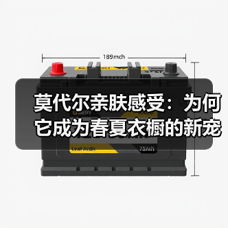 莫代尔亲肤感受:为何它成为春夏衣橱的新宠?(图1) 莫代尔亲肤感受:为何它成为春夏衣橱的新宠?(图1)