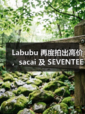 Labubu 再度拍出高价，sacai 及 SEVENTEEN 双重加持（图1）