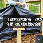 【辣妹穿搭指南：2026年最火的潮流趋势全解析】（图3）