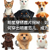 明星穿搭图片揭秘:如何穿出明星范儿,成为街头焦点(图4) 明星穿搭图片揭秘:如何穿出明星范儿,成为街头焦点(图4)