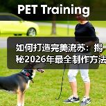 如何打造完美流苏:揭秘2026年最全制作方法(图4) 如何打造完美流苏:揭秘2026年最全制作方法(图4)