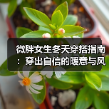微胖女生冬天穿搭指南：穿出自信的暖意与风采（图1）
