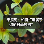 穿搭男：如何打造属于你的时尚风格？（图3）