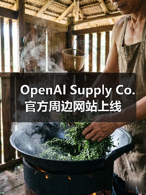 OpenAI Supply Co. 官方周边网站上线(图4) OpenAI Supply Co. 官方周边网站上线(图4)