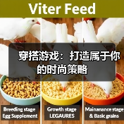 穿搭游戏:打造属于你的时尚策略(图4) 穿搭游戏:打造属于你的时尚策略(图4)