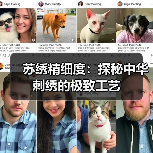苏绣精细度:探秘中华刺绣的极致工艺(图4) 苏绣精细度:探秘中华刺绣的极致工艺(图4)