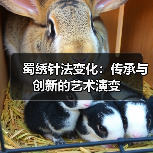蜀绣针法变化:传承与创新的艺术演变(图4) 蜀绣针法变化:传承与创新的艺术演变(图4)
