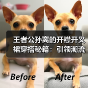 王者公孙离的开襟开叉裙穿搭秘籍:引领潮流新风尚(图2) 王者公孙离的开襟开叉裙穿搭秘籍:引领潮流新风尚(图2)