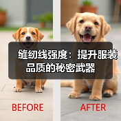 缝纫线强度:提升服装品质的秘密武器(图2) 缝纫线强度:提升服装品质的秘密武器(图2)