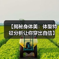 【揭秘身体美:体型特征分析让你穿出自信】(图2) 【揭秘身体美:体型特征分析让你穿出自信】(图2)