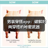 男装穿搭app:破解时尚穿搭的秘密武器(图3) 男装穿搭app:破解时尚穿搭的秘密武器(图3)