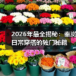 2026年最全揭秘：秦岚日常穿搭的独门秘籍（图4）
