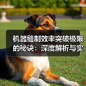 机器缝制效率突破极限的秘诀：深度解析与实战经验