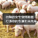 微胖的女生穿搭秘籍:打造你的专属时尚风采(图2) 微胖的女生穿搭秘籍:打造你的专属时尚风采(图2)
