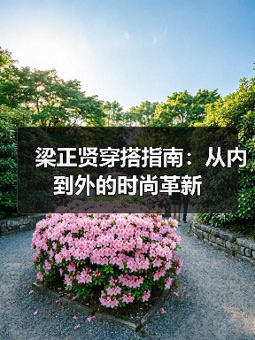 梁正贤穿搭指南:从内到外的时尚革新(图1) 梁正贤穿搭指南:从内到外的时尚革新(图1)