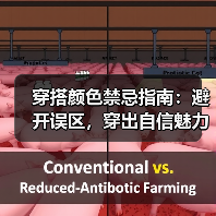 穿搭颜色禁忌指南：避开误区，穿出自信魅力（图1）