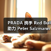 PRADA 携手 Red Bull 助力 Peter Salzmann 创下翼装飞行逆风攀升记录(图4) PRADA 携手 Red Bull 助力 Peter Salzmann 创下翼装飞行逆风攀升记录(图4)