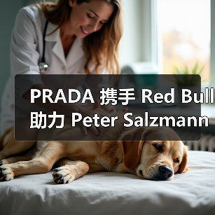 PRADA 携手 Red Bull 助力 Peter Salzmann 创下翼装飞行逆风攀升记录(图3) PRADA 携手 Red Bull 助力 Peter Salzmann 创下翼装飞行逆风攀升记录(图3)