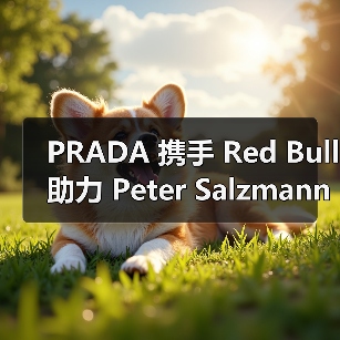 PRADA 携手 Red Bull 助力 Peter Salzmann 创下翼装飞行逆风攀升记录(图2) PRADA 携手 Red Bull 助力 Peter Salzmann 创下翼装飞行逆风攀升记录(图2)