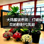 大码服装市场:打破偏见的新时代风潮(图3) 大码服装市场:打破偏见的新时代风潮(图3)