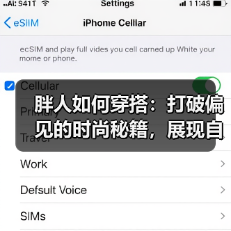 胖人如何穿搭:打破偏见的时尚秘籍,展现自信魅力(图1) 胖人如何穿搭:打破偏见的时尚秘籍,展现自信魅力(图1)