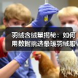 羽绒含绒量揭秘：如何用数据挑选最暖羽绒服