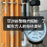 亚洲体型特点揭秘:了解东方人的身体奥秘(图3) 亚洲体型特点揭秘:了解东方人的身体奥秘(图3)