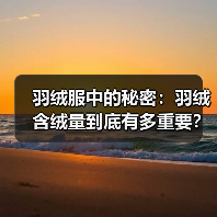 羽绒服中的秘密:羽绒含绒量到底有多重要?(图4) 羽绒服中的秘密:羽绒含绒量到底有多重要?(图4)