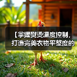 【掌握熨烫温度控制,打造完美衣物平整度的秘密】(图3) 【掌握熨烫温度控制,打造完美衣物平整度的秘密】(图3)
