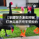 【掌握熨烫温度控制,打造完美衣物平整度的秘密】(图4) 【掌握熨烫温度控制,打造完美衣物平整度的秘密】(图4)