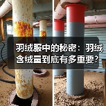羽绒服中的秘密:羽绒含绒量到底有多重要?(图3) 羽绒服中的秘密:羽绒含绒量到底有多重要?(图3)