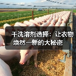干洗溶剂选择:让衣物焕然一新的大秘密(图4) 干洗溶剂选择:让衣物焕然一新的大秘密(图4)