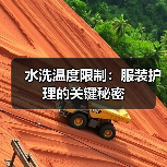 水洗温度限制:服装护理的关键秘密(图3) 水洗温度限制:服装护理的关键秘密(图3)
