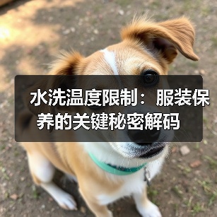 水洗温度限制：服装保养的关键秘密解码