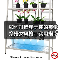 如何打造属于你的英伦穿搭女风格:实用指南与深入解析(图4) 如何打造属于你的英伦穿搭女风格:实用指南与深入解析(图4)