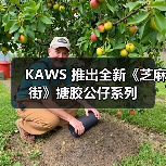 KAWS 推出全新《芝麻街》搪胶公仔系列(图3) KAWS 推出全新《芝麻街》搪胶公仔系列(图3)