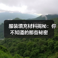 服装填充材料揭秘:你不知道的那些秘密(图2) 服装填充材料揭秘:你不知道的那些秘密(图2)