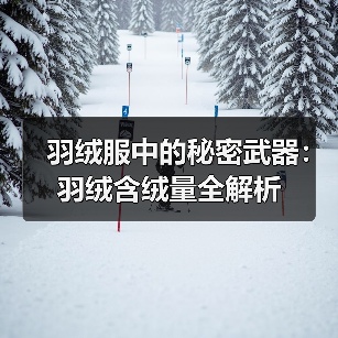羽绒服中的秘密武器:羽绒含绒量全解析(图2) 羽绒服中的秘密武器:羽绒含绒量全解析(图2)