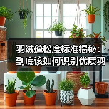 羽绒蓬松度标准揭秘：到底该如何识别优质羽绒？