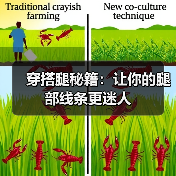 穿搭腿秘籍：让你的腿部线条更迷人