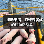 运动穿搭：打造专属你的时尚运动风（图3）