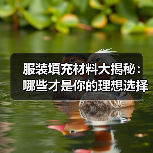 服装填充材料大揭秘:哪些才是你的理想选择?(图3) 服装填充材料大揭秘:哪些才是你的理想选择?(图3)