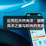 贝壳扣天然光泽:细看海洋之美与时尚的完美结合(图4) 贝壳扣天然光泽:细看海洋之美与时尚的完美结合(图4)
