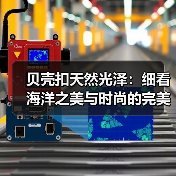 贝壳扣天然光泽:细看海洋之美与时尚的完美结合(图2) 贝壳扣天然光泽:细看海洋之美与时尚的完美结合(图2)