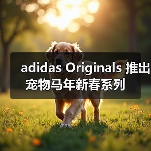 adidas Originals 推出宠物马年新春系列(图2) adidas Originals 推出宠物马年新春系列(图2)