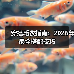 穿搭毛衣指南:2026年最全搭配技巧(图4) 穿搭毛衣指南:2026年最全搭配技巧(图4)