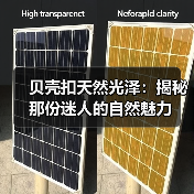 贝壳扣天然光泽:揭秘那份迷人的自然魅力(图4) 贝壳扣天然光泽:揭秘那份迷人的自然魅力(图4)